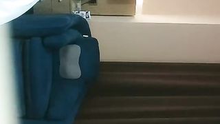 【69堂精品】探花界劳模，天天操逼不停歇，175cm，甜美00后小姐姐，黑丝美乳，骚气逼人，浪叫臣服高潮来了