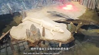 【69堂免费视频】下流母狗羞恥露出