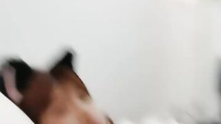 【69堂免费视频】猫耳朵可爱萌妹妹，美乳多毛骚穴，和小男友操逼，张开双腿怼入，一顿抽插小骚逼，爽的娇喘呻吟