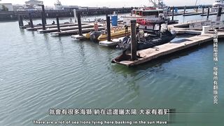 【69堂免费视频】旧金山性爱之旅 下流母狗羞耻露出