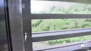 【69堂午夜视频】超激尺度啪啪，大尺双模情欲互动