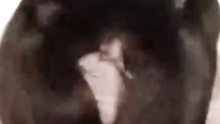 【69堂午夜视频】黑料吃瓜-放下底线快速变现昆明文理学院环境设计专业乖巧嫩妹严依祎刚下海就开单伺候金主被曝光