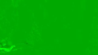 【69堂午夜视频】乖巧的女友露脸跟小哥激情啪啪大秀发骚，口交大鸡巴活好棒