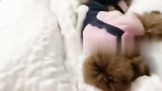 【69堂午夜视频】黑料吃瓜-抖音十八线网红_尤美呀_一对一私密视频流出_露脸骚拍主打一个骚气.mp4