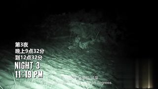 【69堂午夜视频】黑料吃瓜-原始生活21天系列陌生男女全裸开局没食物在沙漠21天荒野求生精液是女子主要蛋白摄入