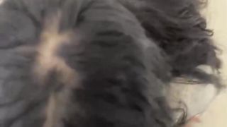 【69堂午夜视频】把工装OL的气质姐姐拴着狗链调教，口塞像母狗一样，小穴全湿中出内射