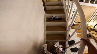 【69堂午夜视频】旗袍母狗的每日任务要被大鸡巴灌满才行